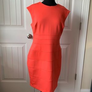 Beautiful Women’s Dress